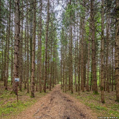 Gemeinde Haag Landkreis Mühldorf Haager Land Todeiskesselweg Deutschland MÜ